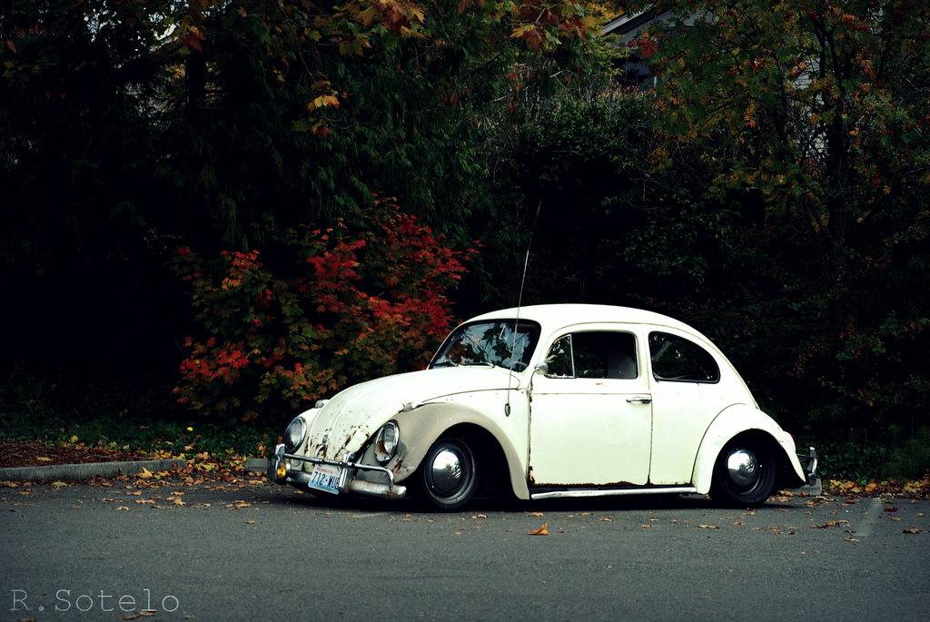 But when she sees a slammed rusty holed VW Beetle she likes itWTF